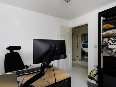 Picture 32